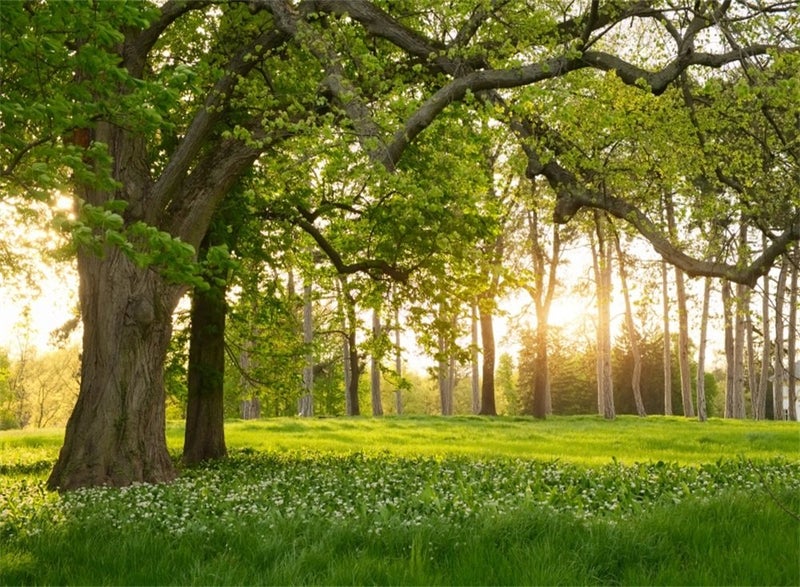 Leowefowa 7X5FT Spring Backdrop Rural Forest Trees Backdrops for Photography Blooming Flowers Green Grassland Nature Vinyl Photo Background Kids Adults Outdoor Travel Portraits Studio Props - Image 1
